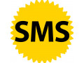 Icon for مجری تبلیغات پیامکی جنوب کشور