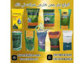 Icon for قیمت و خرید بذر چمن همیشه سبز | قیمت عمده و خرده بذر چمن
