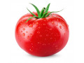 “بذر گوجه جودیویس (Joudivis F1)”