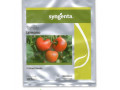 فروش بذر گوجه فرنگی ایزومونو