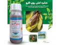 حشره کش روی اگرو