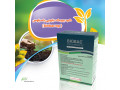 Icon for کود بیوبک دبلیوپی باسیلوس ( biobac wp)