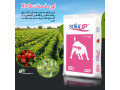 اوره فسفات کا پلاس اس ® soluUP