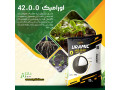 اورامیک 0-0-42