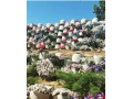 Icon for فلاورباکس گلفوژ: دیوارهای حائل هوشمند و سبز.