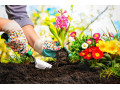 خدمات باغبانی،گلکاری،باغچه کاری،فضای سبز،باغبان