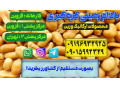 Icon for خرید عمده بادام زمینی برای کره گیری