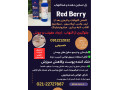 ژل بعدلیزر( موزدایی )  ، تسکین دهنده و ضدالتهاب ،ردبری RedBerry