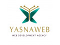 Icon for خدمات حرفه‌ای طراحی سایت و سئو