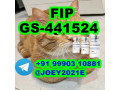  GS-441524 cat Fip Feline Infectious Peritonitis