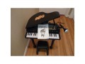 پیانو کودک موزیکال پیکوتویز  - پیانو قیمت مناسب