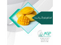 Icon for اسانس و طعم دهنده انبه مقاوم به حرارت خوراکی طعم دهنده انبه خوراکی و تنباکویی