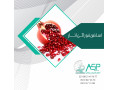 Icon for فروش اسانس خوراکی و هفت میوه طعم دهنده انار طعم دهنده پرتقال