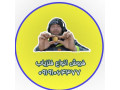 AD is: فلزیاب عباسی 09191064377
