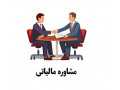 مشاور مالیاتی