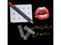 قالب سیلیکونی رژلب