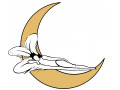 Icon for تشک ماه تی تی