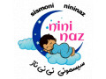 Icon for فروشگاه سیسمونی نی نی ناز
