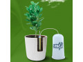 Icon for آبیاری گل و گیاه