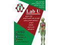 Icon for . انواع فانتوم ومدل های آناتومی مناسب  آزمایشگاه  مدارس و دانشگاه و مراکز مهارت های بالینی بیمارستان ها