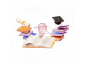 Icon for طراحی سایت آموزشی حرفه‌ای برای مؤسسات و مدرسین در گروت ویژن