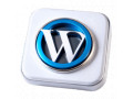 Icon for دسترسی به تمامی افزونه‌های پرو وردپرس در یک پکیج کامل!