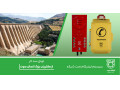 سیستم اینترکام تحت شبکه |  بررسی مدل و قیمت 