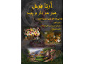 Icon for طراحی حرفه ای نقشه تابلوفرش با آرتا فرش