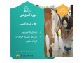 Icon for آموزش تخصصی نعل بندی اسب