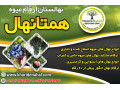 فروش ارقام مختلف نهال میوه اصلاح شده