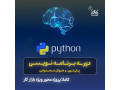 Icon for آموزش برنامه نویسی پایتون +استخدام در نت کالج برتر