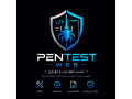 Icon for تست نفوذ وب و موبایل