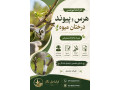 Icon for کارگاه آموزشی هرس و پیوند درختان میوه