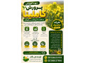 Icon for پکیج کامل آموزش کاملینا صفر تا صد 