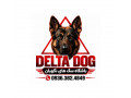 Icon for سگ ژرمن شپرد . باشگاه سگ های نگهبان . DELTA DOG