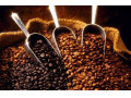 Icon for قهوه برزیل سانتوس Fine Cup اسکرین 17/18 | واردات مستقیم و فروش به قیمت واردات