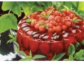 فروش خط کامل تولید ژله و مارمالاد  - مارمالاد کیک و کلوچه