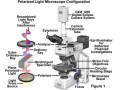 انواع میکروسکوپ نوری آزمایشگاهی
