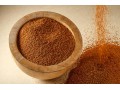 فروش خاکشیر درجه یک کبودراهنگ(همدان) - شکر همدان