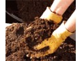 مزایای پرلیت در کشاورزی - پرلیت خاک برگ
