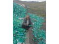 خط بازیافت پت - بازیافت مس از ضایعات سیم و کابل