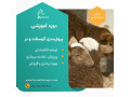 Icon for تولید و پرورش و پرواربندی گوسفند و بز گوشتی