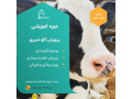 Icon for دوره آموزشی پرورش گاو شیری