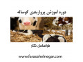 Icon for دوره تخصصی پرواربندی گوساله