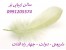 سالن زیبایی پَر
