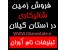 زمین های هکتاری پرورش قارچ در استان گیلان