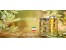 خط تولید و بسته بندی زیتون ، زیتون پرورده