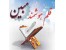 قرائت کلمه به کلمه