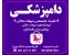 کلینیک دامپزشکی در محدوده سیدخندان