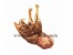 فروش گوشت ولاشه تازه